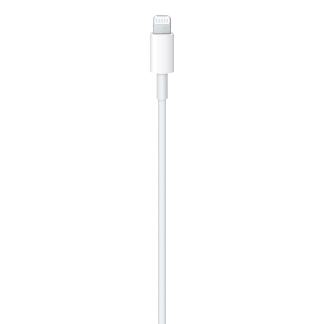 Câble Lightning + Adaptateur secteur 20W USB-C (ZSPHONE)