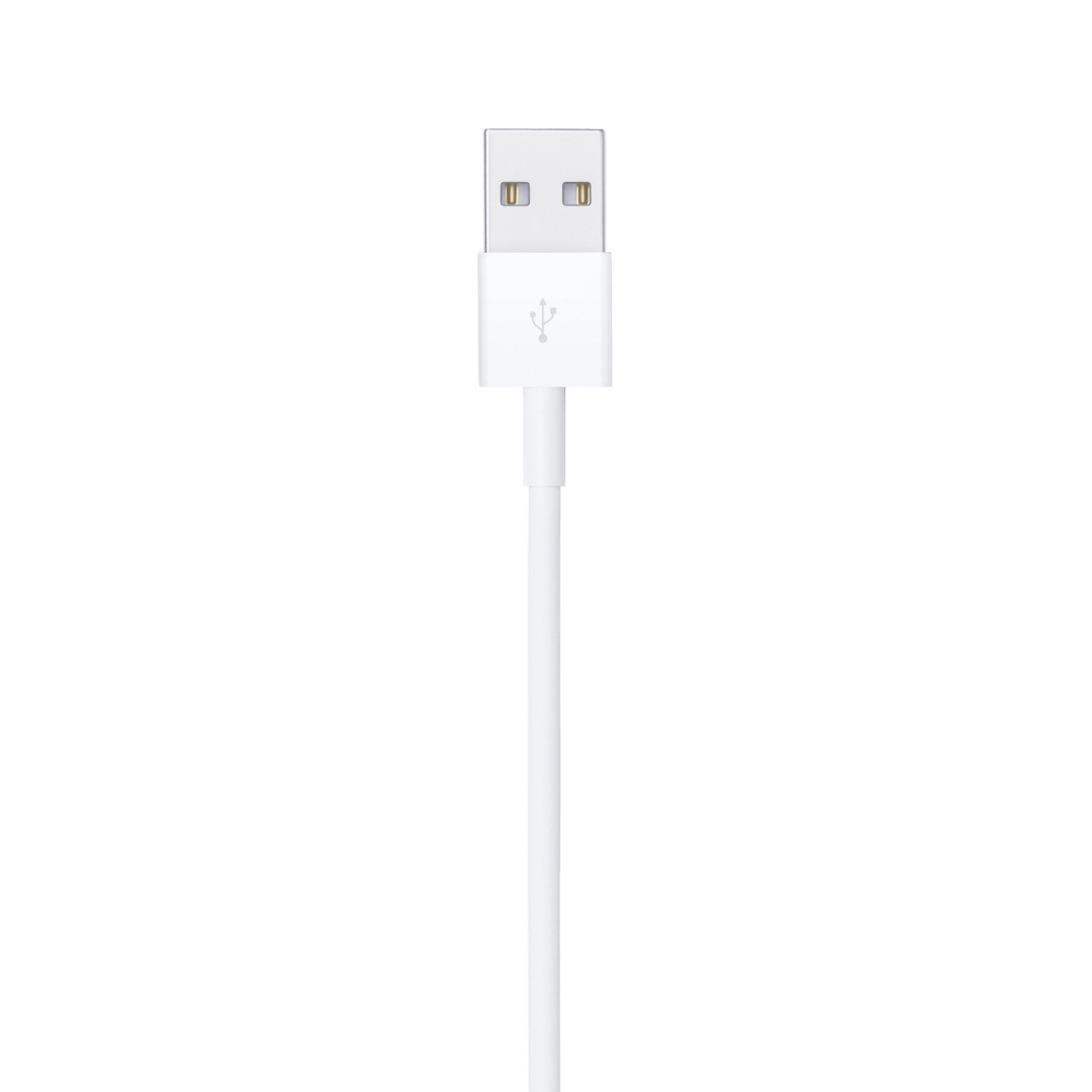 Adaptateur secteur USB + Cable USB (ZSPHONE)